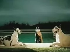 Sculacciato, punito, ...
