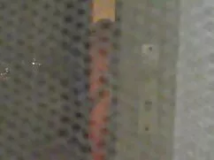 Ogni donna si sente  ...